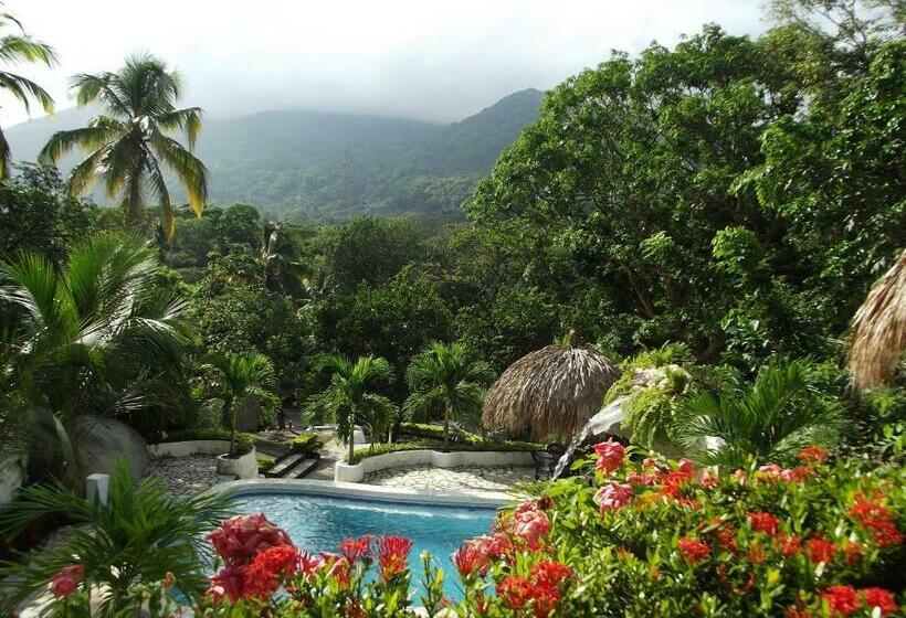 标准平房, Monte Verde Hostal