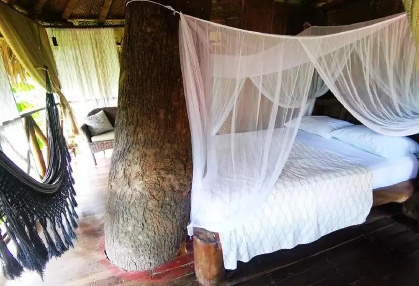 スタンダードバンガロー, Monte Verde Hostal