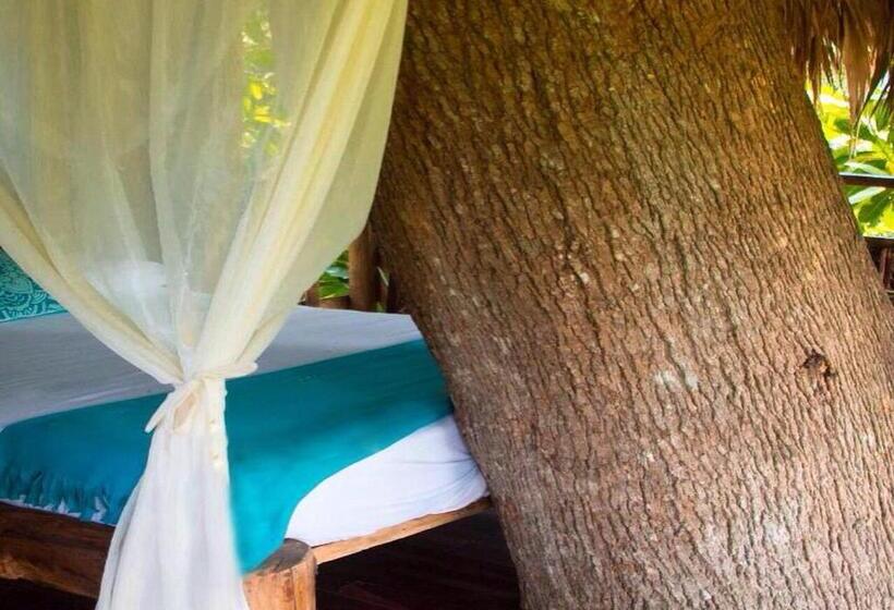 标准平房, Monte Verde Hostal