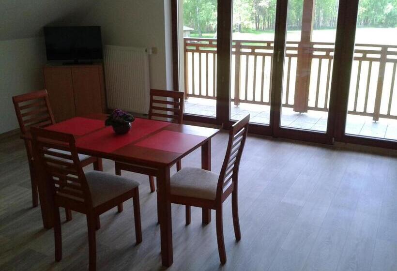 带1个卧室的带阳台的公寓, Penzion U Blatce