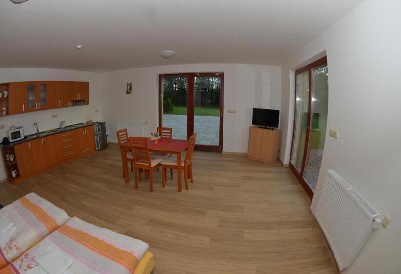 带1个卧室的带阳台的公寓, Penzion U Blatce