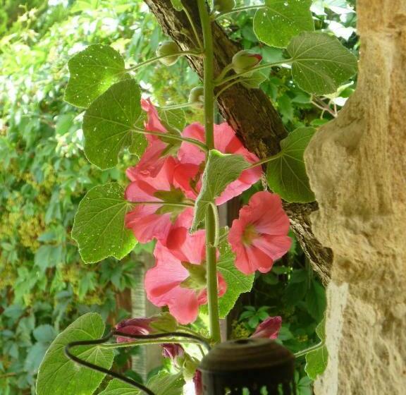 חדר סטנדרט נוף לגינה, Residence Beausejour