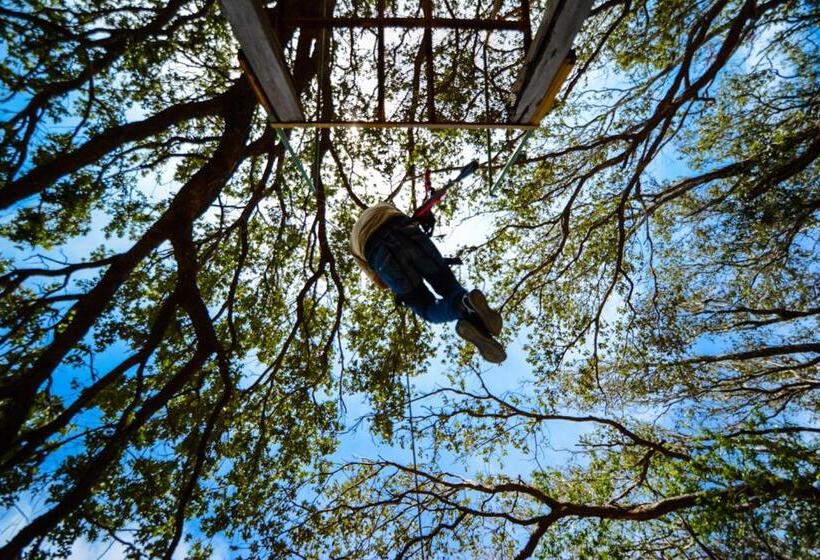 Апартаменты 1 Спальня, Vida Aventura Ranch