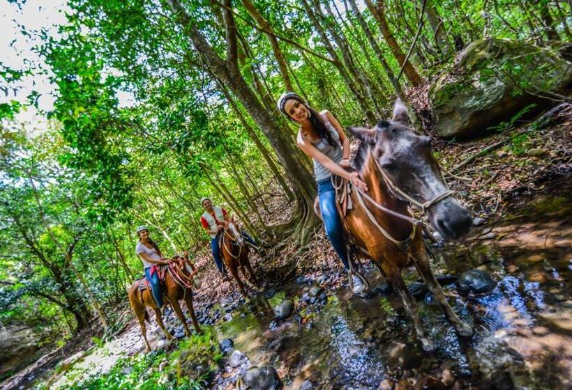 Апартаменты 1 Спальня, Vida Aventura Ranch