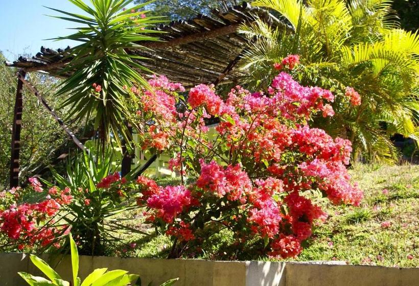 Студия Стандарт, Vida Aventura Ranch