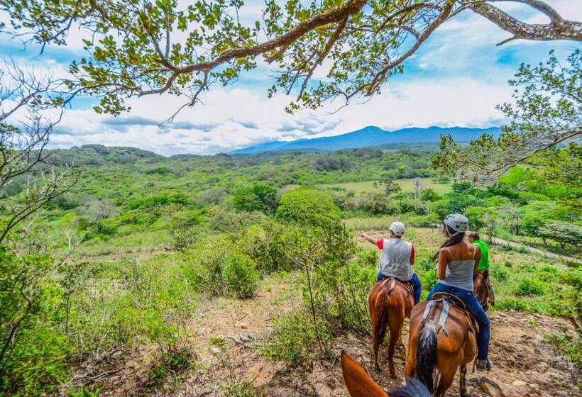 Студия Стандарт, Vida Aventura Ranch