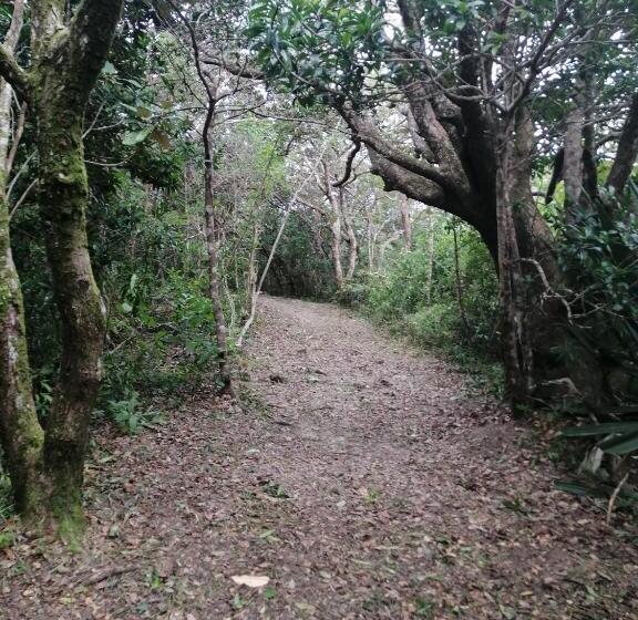 Апартаменты 1 Спальня, Vida Aventura Ranch