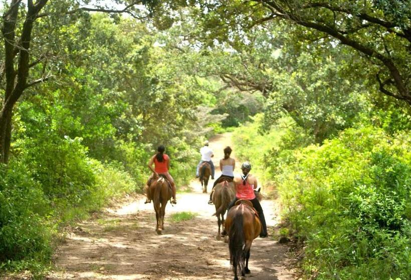 Апартаменты 1 Спальня, Vida Aventura Ranch