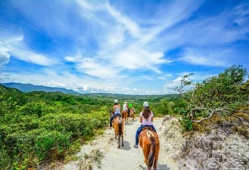 스탠다드 스튜디오, Vida Aventura Ranch