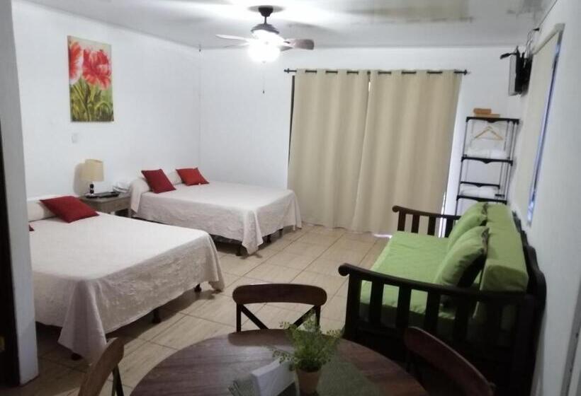 Студия Стандарт, Vida Aventura Ranch