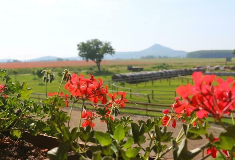 غرفة قياسية ثلاثية مزودة بشرفة, Gyulavezér Lovasbirodalma