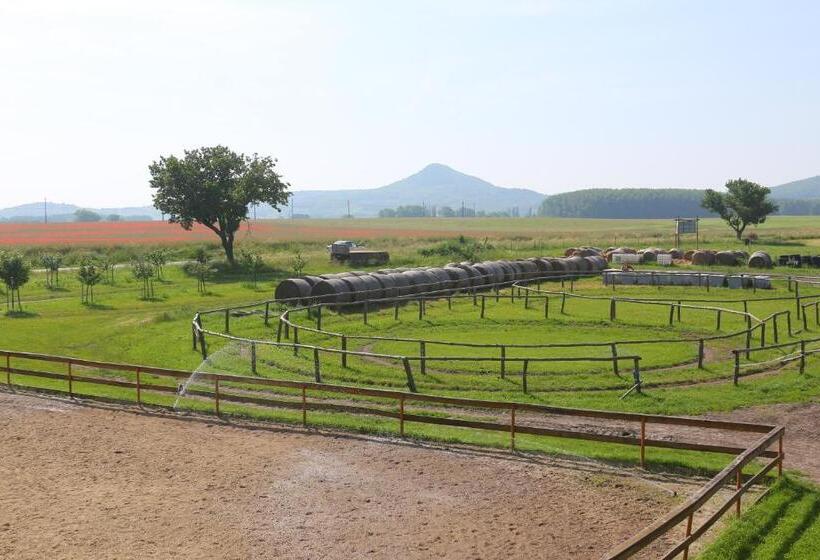 Номер Стандарт Трехместный, Gyulavezér Lovasbirodalma
