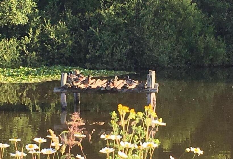 חדר סטנדרט, Maison D'hôtes Les Escures