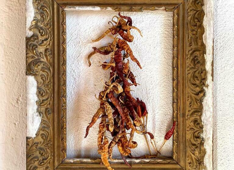 منزل غرفة نوم واحدة, Country Loft At Palazzo Di Bagnaia