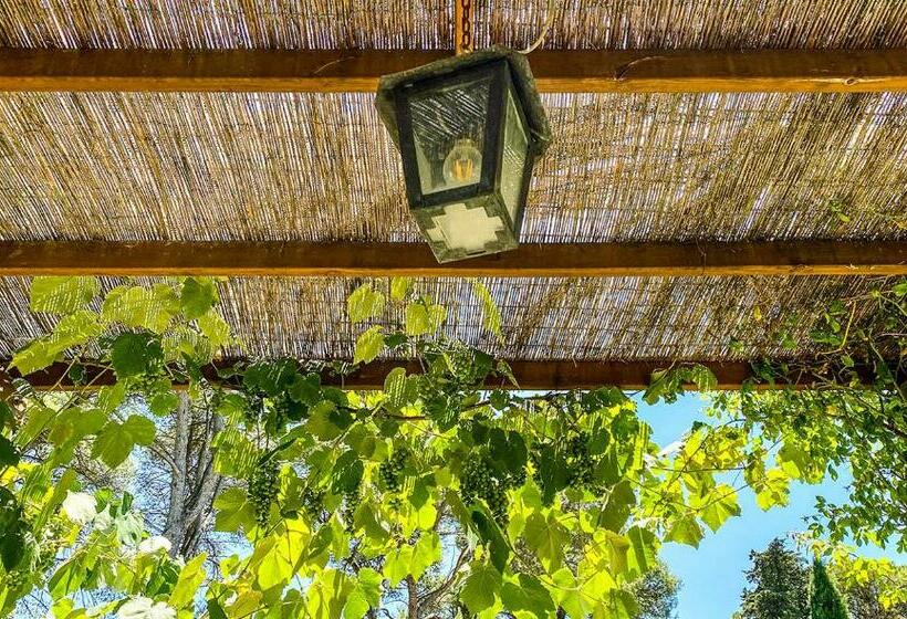 منزل غرفة نوم واحدة, Country Loft At Palazzo Di Bagnaia