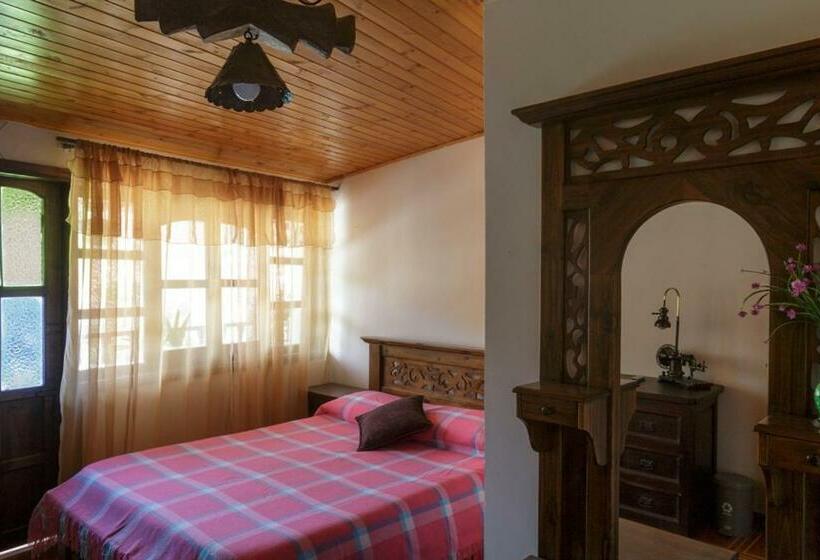 غرفة قياسية, Tonsuca