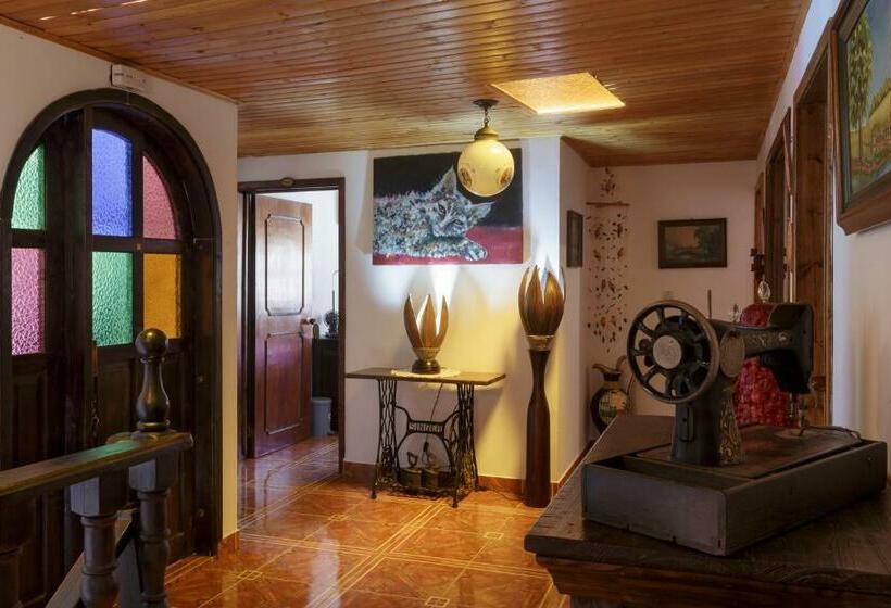 Четырехместный Номер Стандарт, Tonsuca