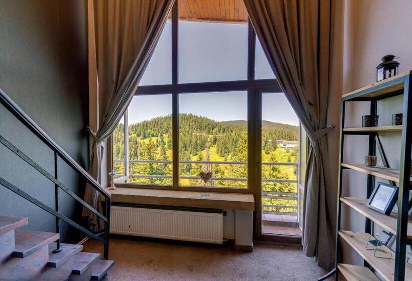 غرفة دوبلكس, Grand Hotel Murgavets