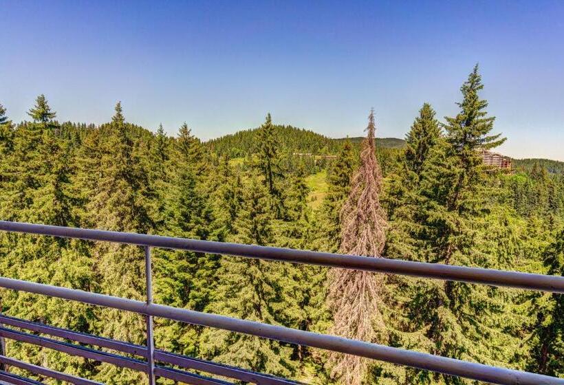 غرفة ديلوكس مزودة بشرفة, Grand Hotel Murgavets