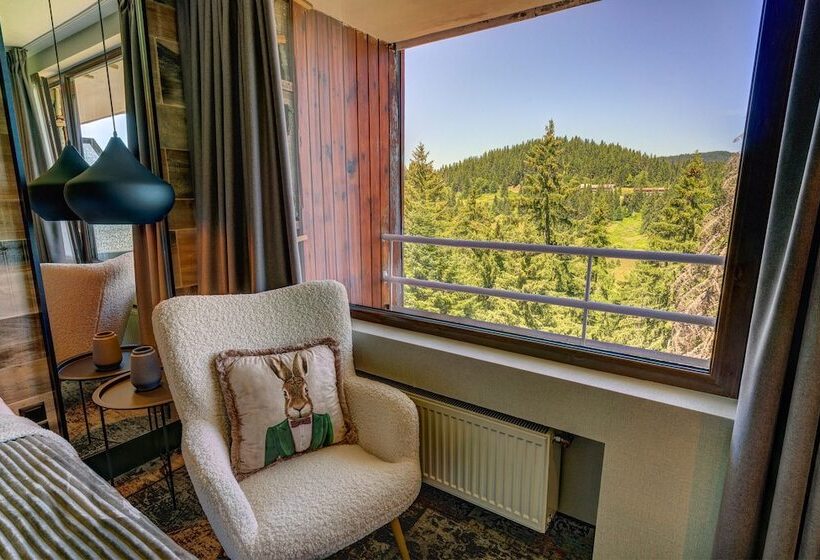 شقة سوبريور غرفة واحدة, Grand Hotel Murgavets