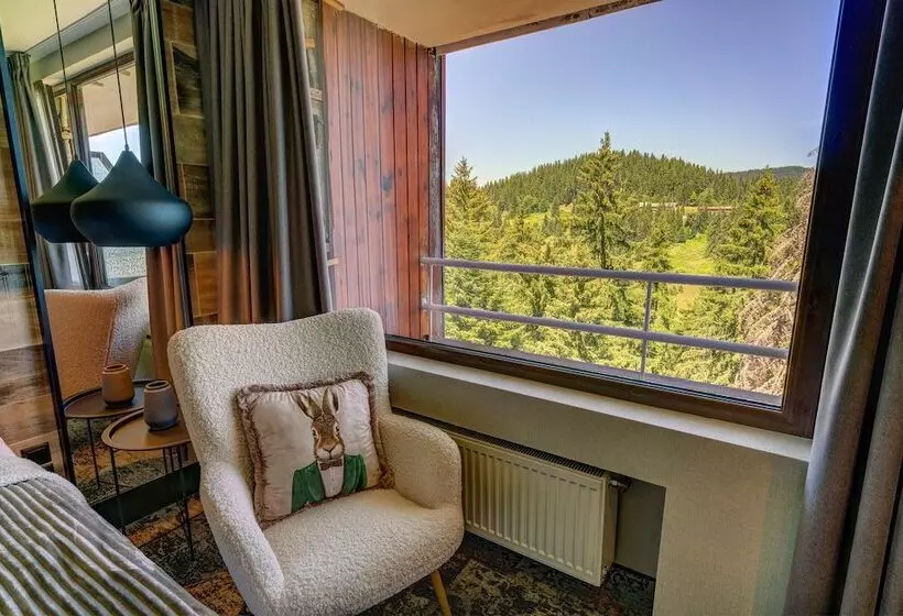 １ベッドルームのスーペリアアパートメント, Grand Hotel Murgavets
