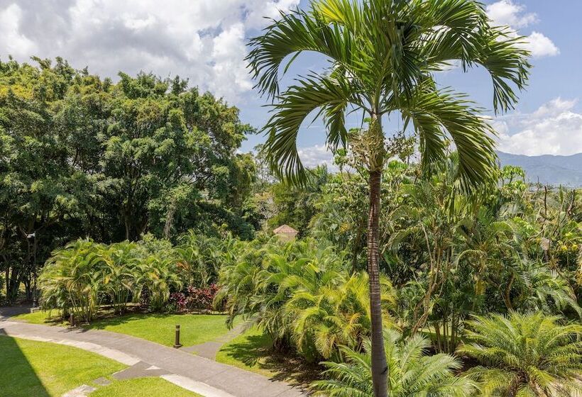 스탠다드 룸 더블 침대 2개, Costa Rica Marriott Hotel Hacienda Belen