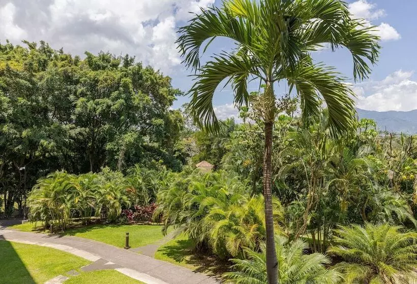 اتاق استاندارد با 2 تخت دوبل, Costa Rica Marriott Hotel Hacienda Belen
