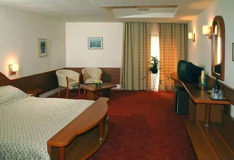 Standard Room, Irisa