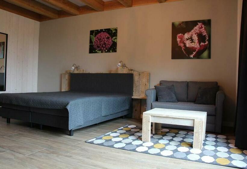 Номер Стандарт с Террасой, B&b Heeringhuusen