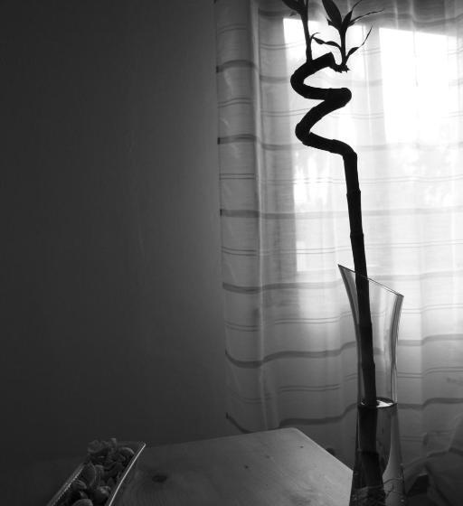 标准间, I Due Orfici