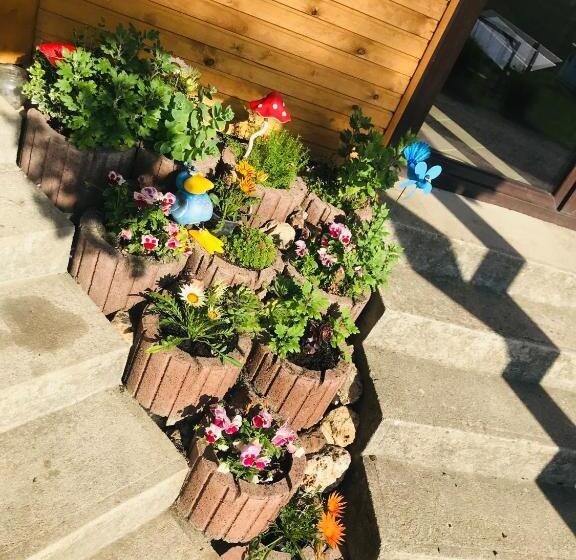 בקתת חדר, Aranyló Vendégház