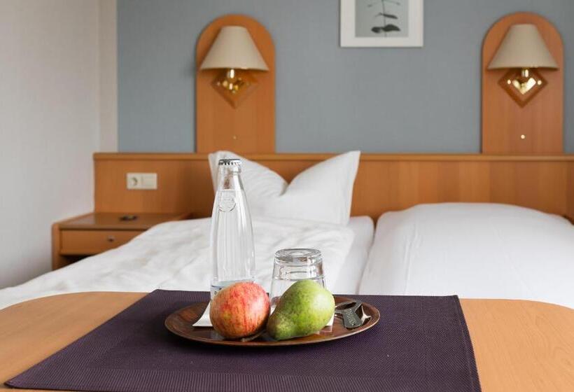 스탠다드 싱글 룸, Pension Ridder