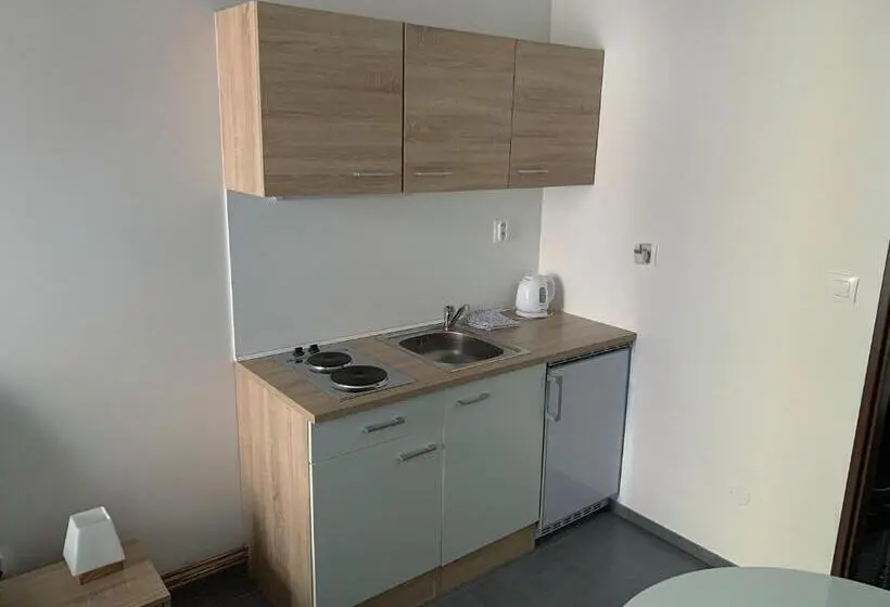 Standard-huone, Penzion Měšťan