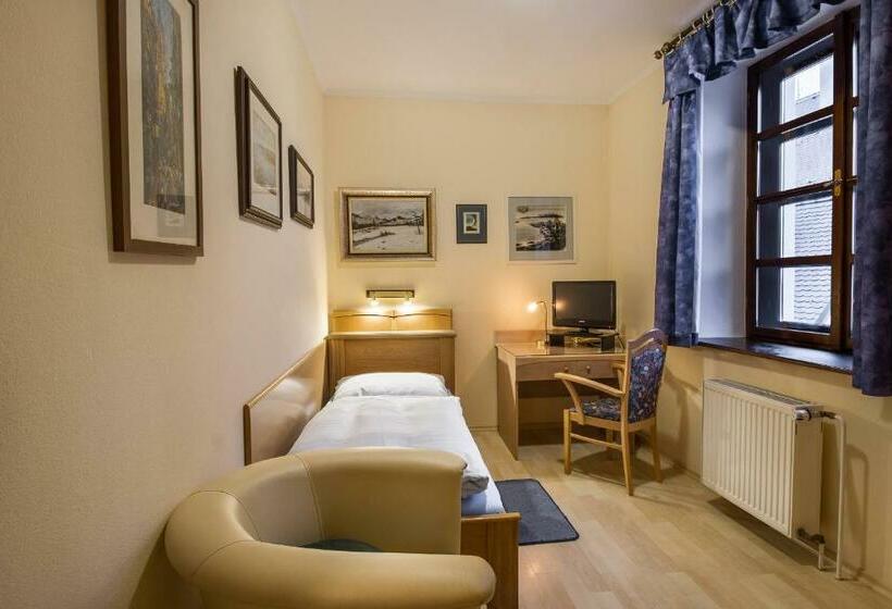 חדר סטנדרט יחיד, Penzion A Restaurace U Míšků