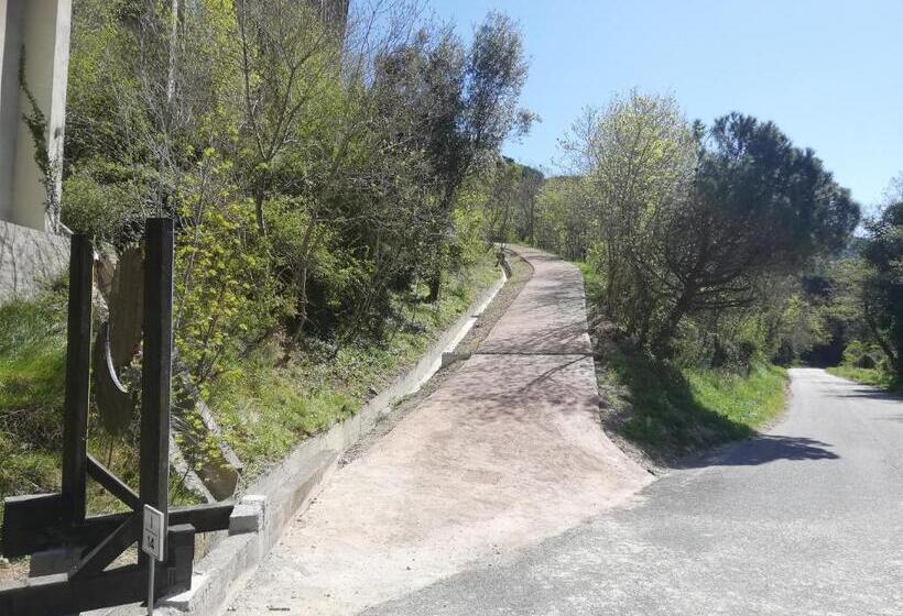 חדר סטנדרט לארבעה, Le Petit Chateau