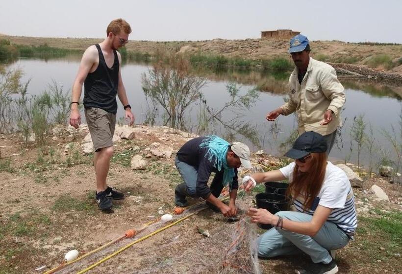 سوییت, Riad Mimouna De Timnay