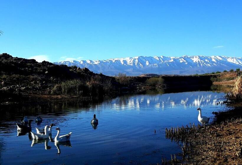 سوییت, Riad Mimouna De Timnay