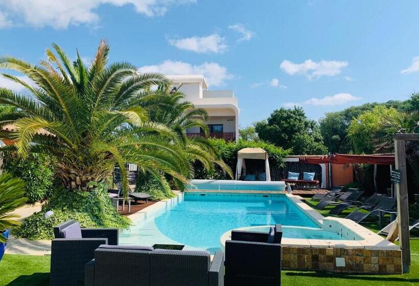 غرفة قياسية, Le Patio 34