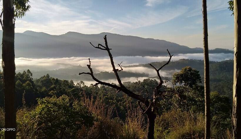 Comfort Tent, Munnar Jungle Camp