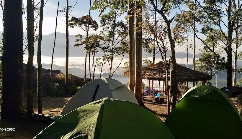 Comfort Tent, Munnar Jungle Camp