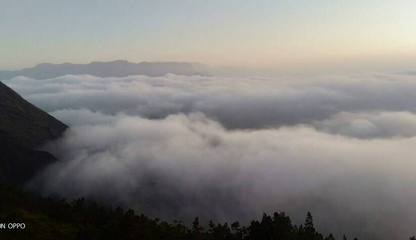 Comfort Tent, Munnar Jungle Camp