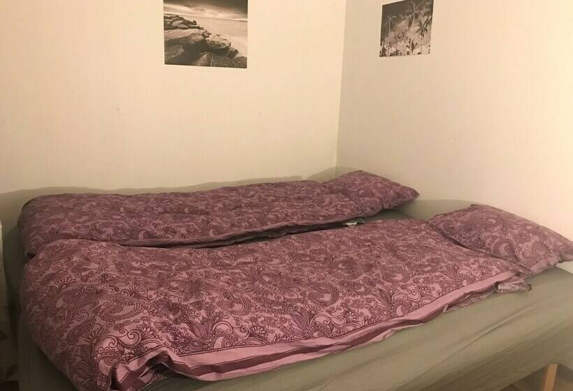 기본룸, Nordic Borealis House