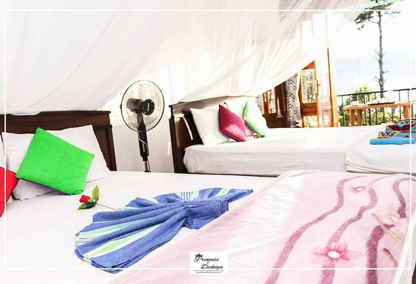 شقة ديلوكس غرفة واحدة, Princess Of Dickoya