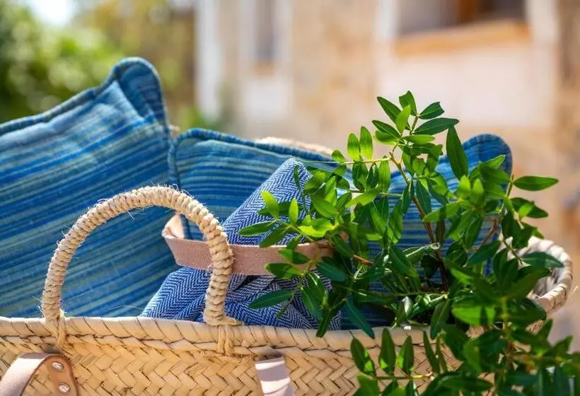 ویلای 1 خوابه, Agroturismo Son Siurana