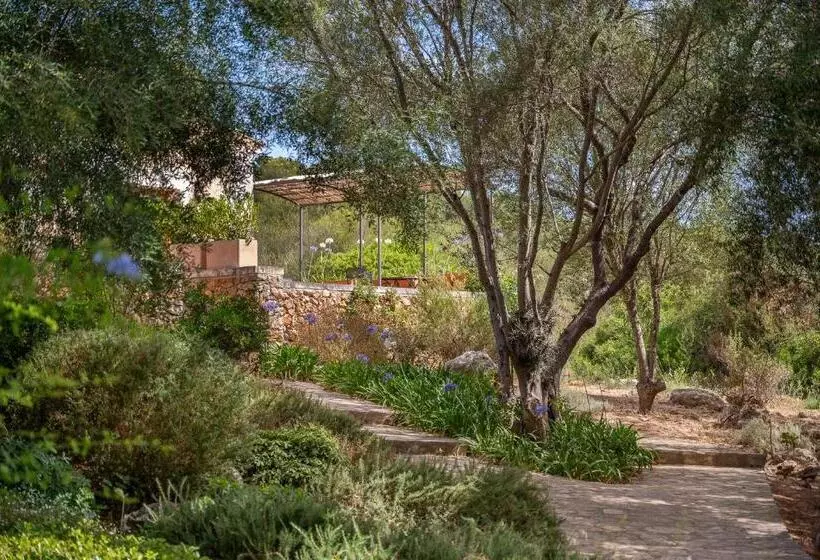 سوییت جونیور سوپریور, Agroturismo Son Siurana