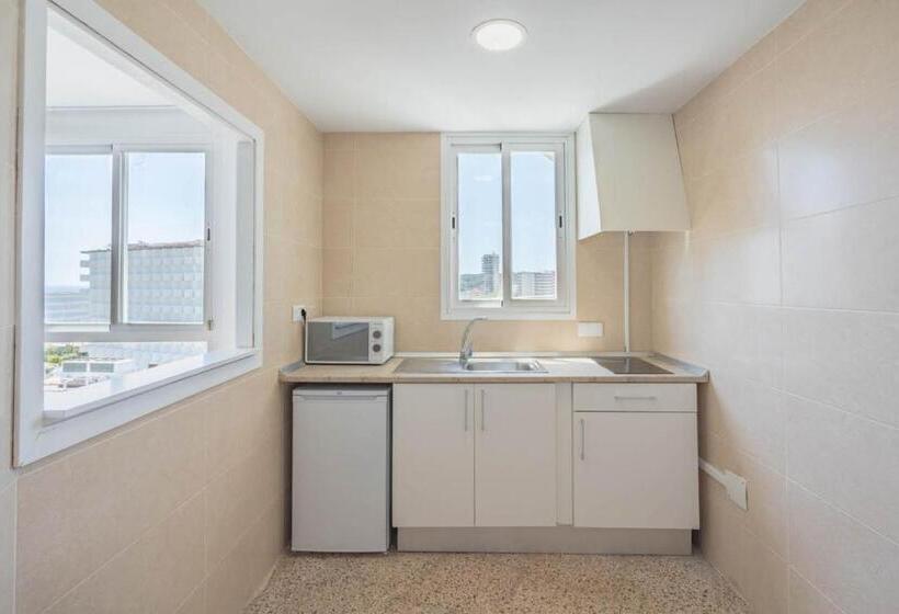 آپارتمان سوپریور 1 خوابه, Magalluf Playa Apartments - Adults Only