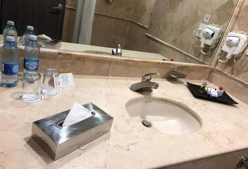 اتاق استاندارد با تخت بزرگ, We Hotel Aeropuerto