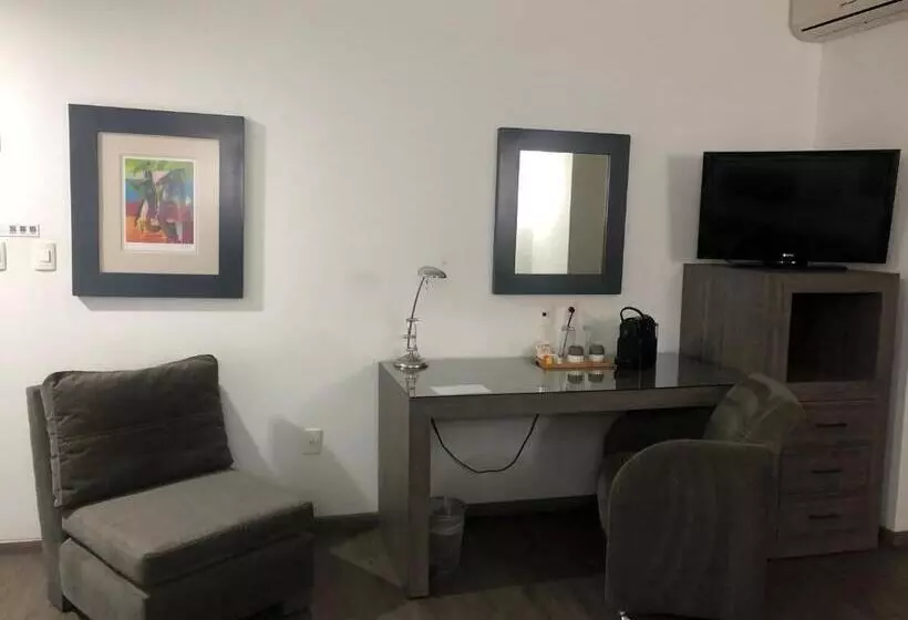 اتاق استاندارد با تخت بزرگ, We Hotel Aeropuerto
