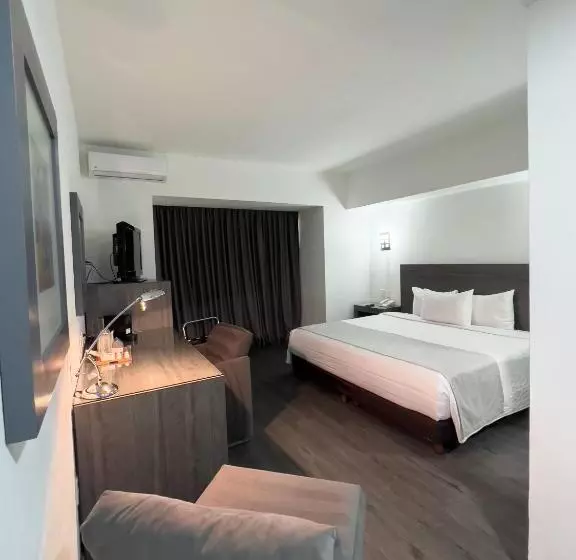 اتاق استاندارد با تخت بزرگ, We Hotel Aeropuerto