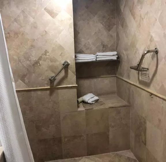 اتاق استاندارد برای معلولان, We Hotel Aeropuerto